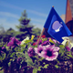 Illustration for article titled 13 Photos Of Memorial Day